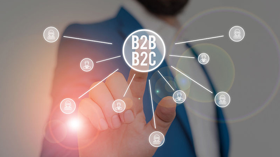 Digital Commerce Solutions for the B2B2C Market