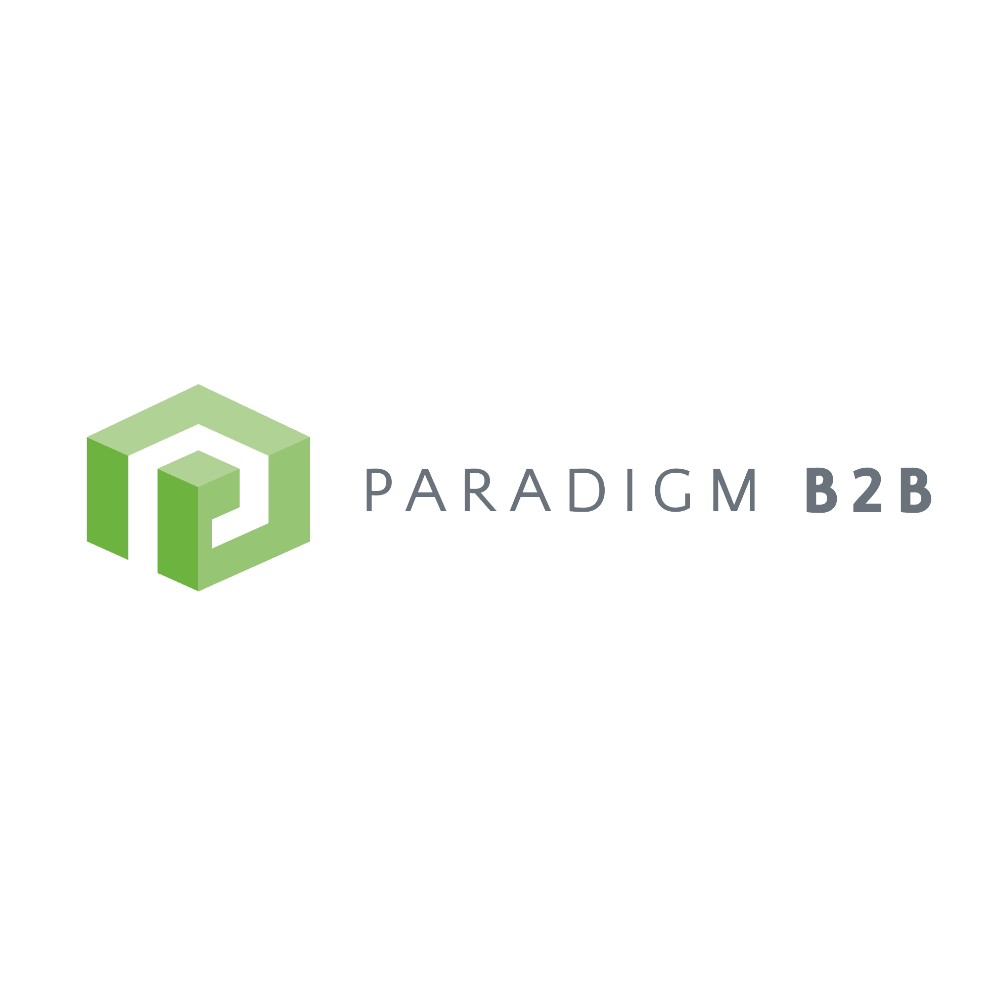 Paradigm B2B Logo