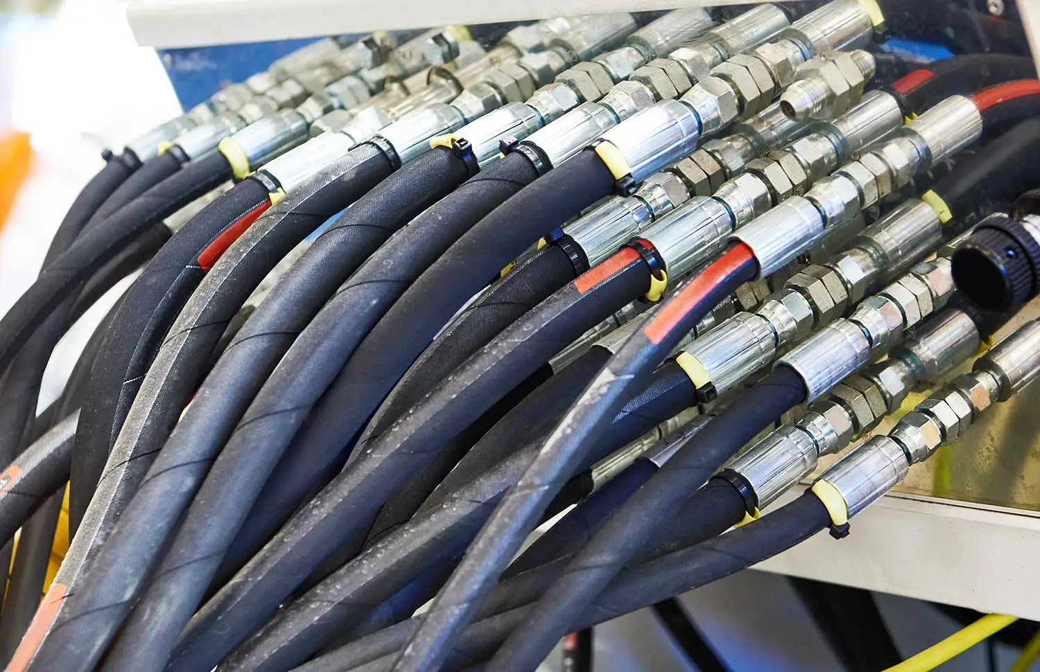 hoses hoses
